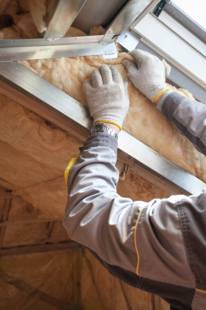 Best Spray Foam Insulation  in Catawba, SC